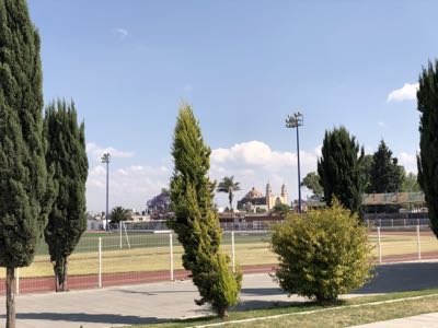 Thumbnail 98 of 362.