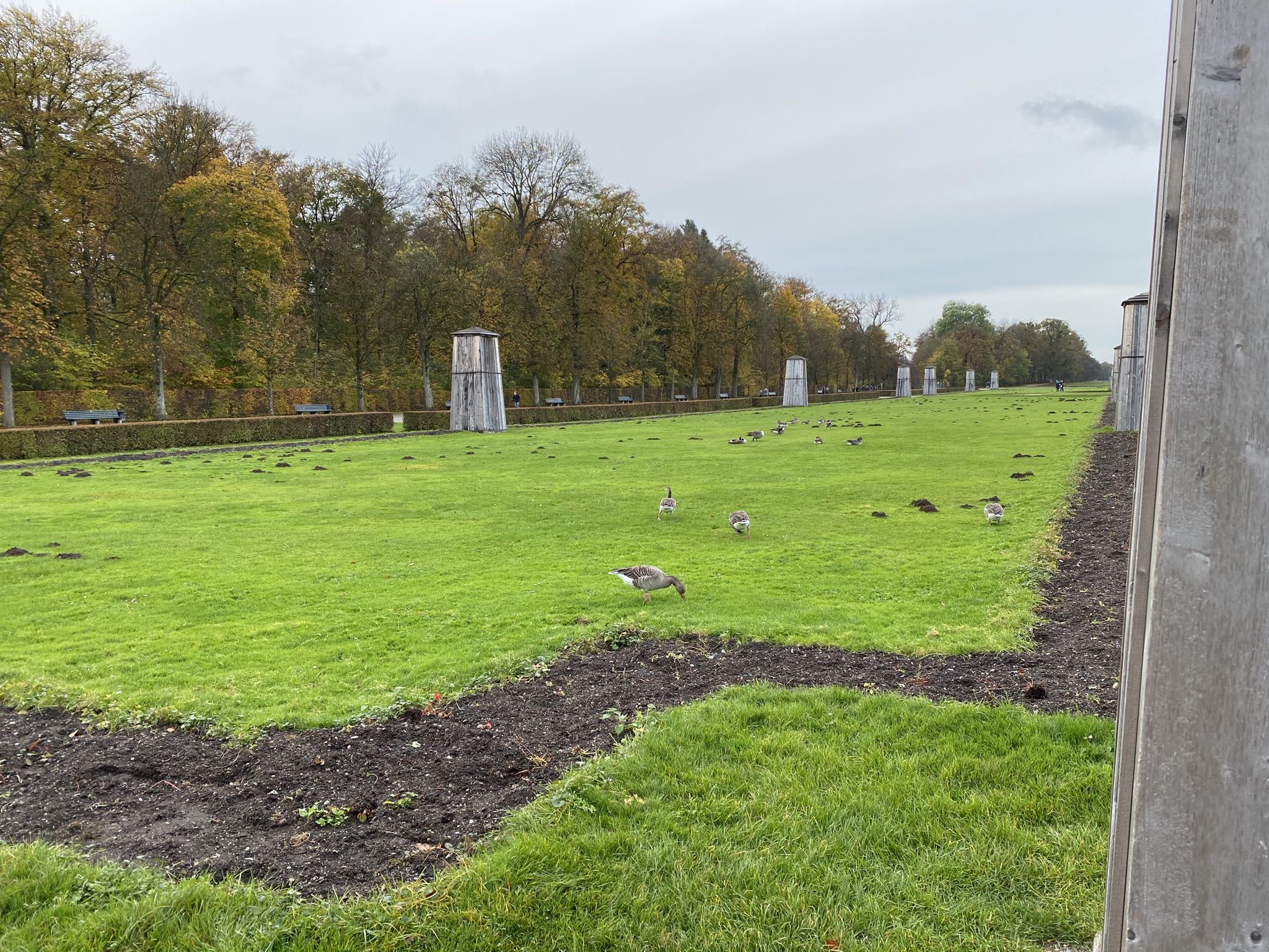 Photo 48 of 49 from the album Munich 2019.