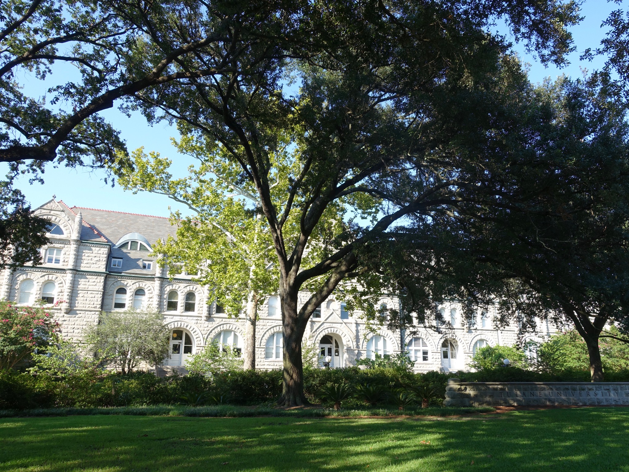 Photo 25 of 56 from the album Highlights New Orleans 2015.