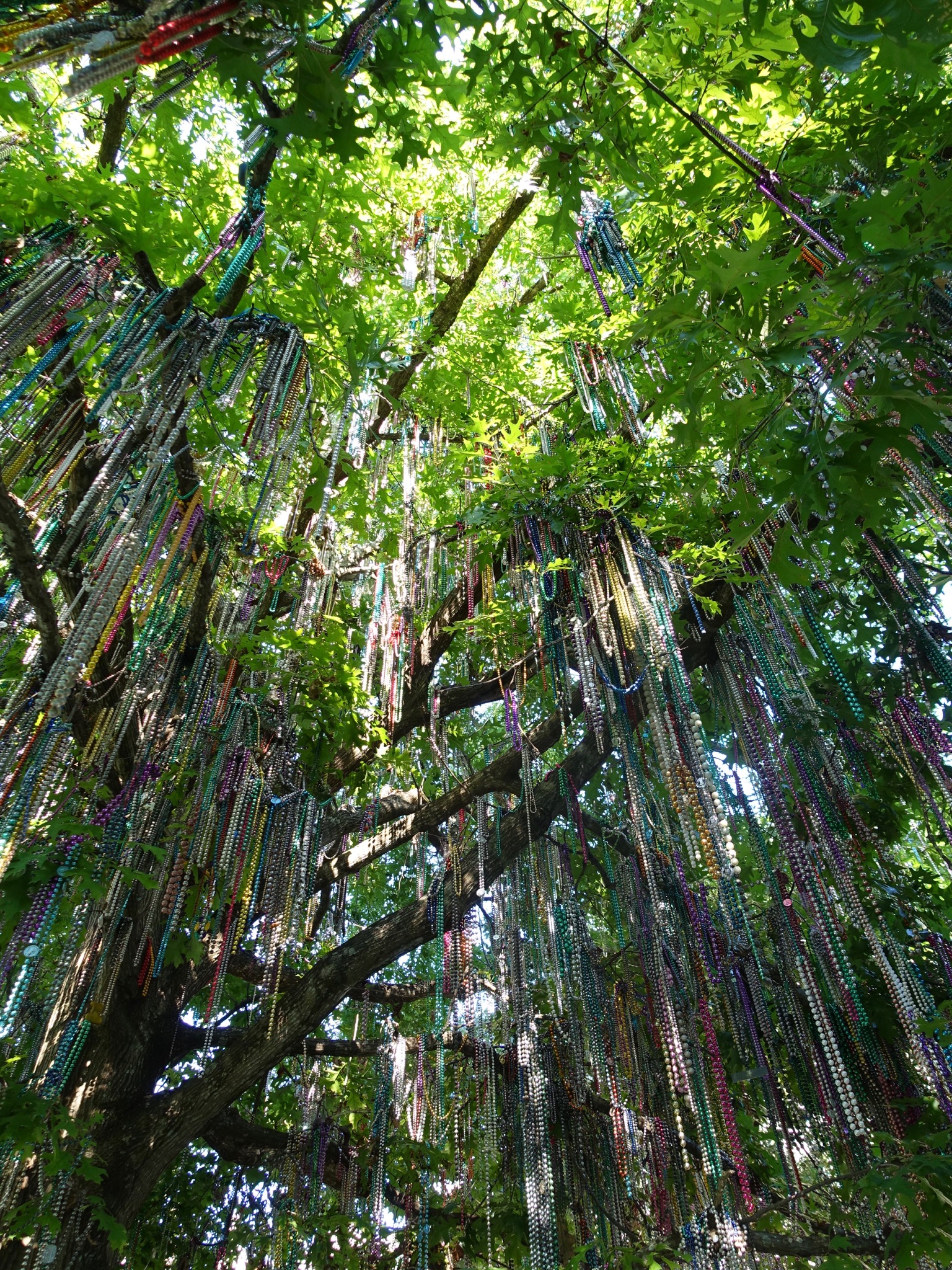 Photo 27 of 56 from the album Highlights New Orleans 2015.