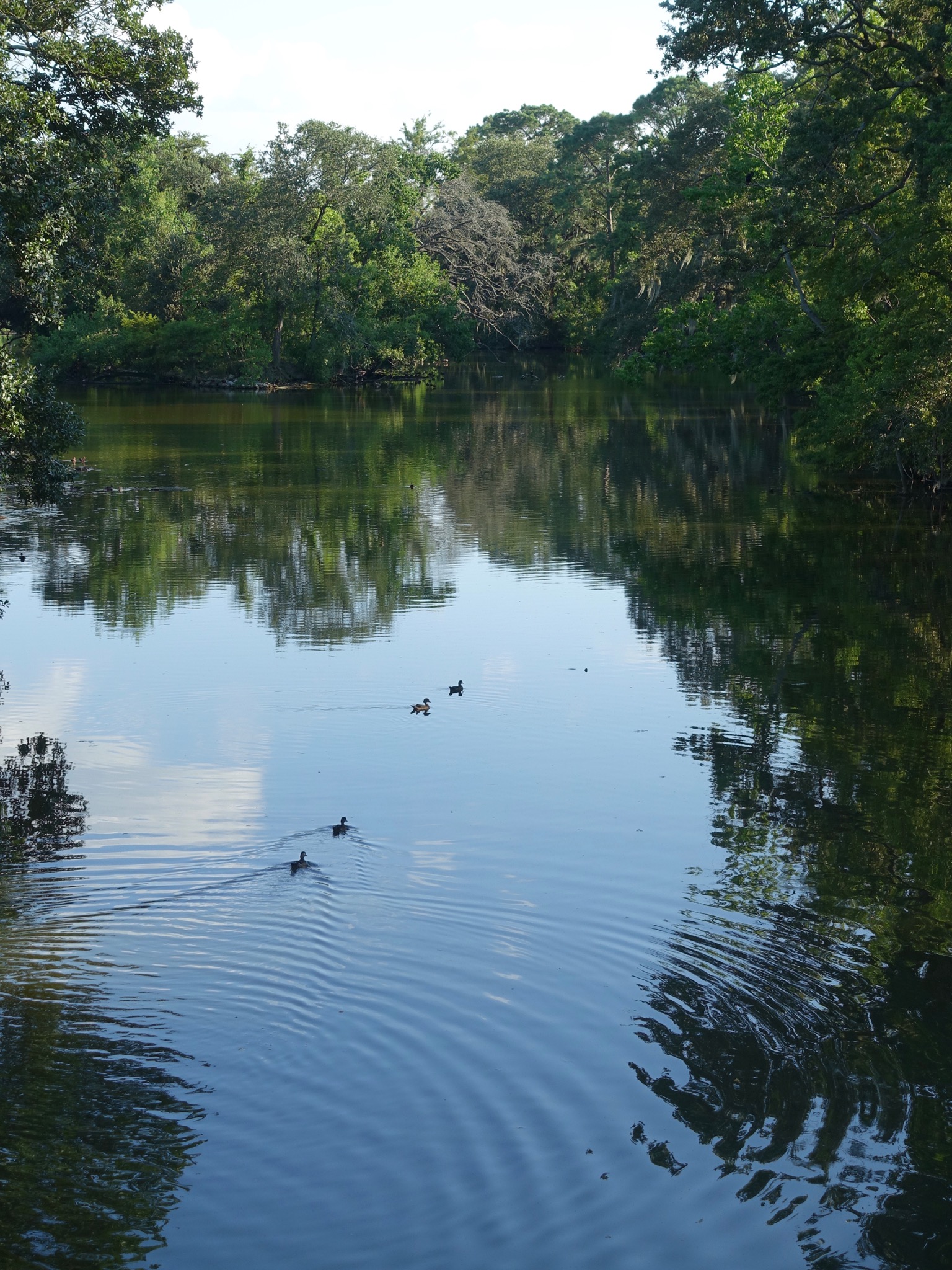 Photo 31 of 56 from the album Highlights New Orleans 2015.