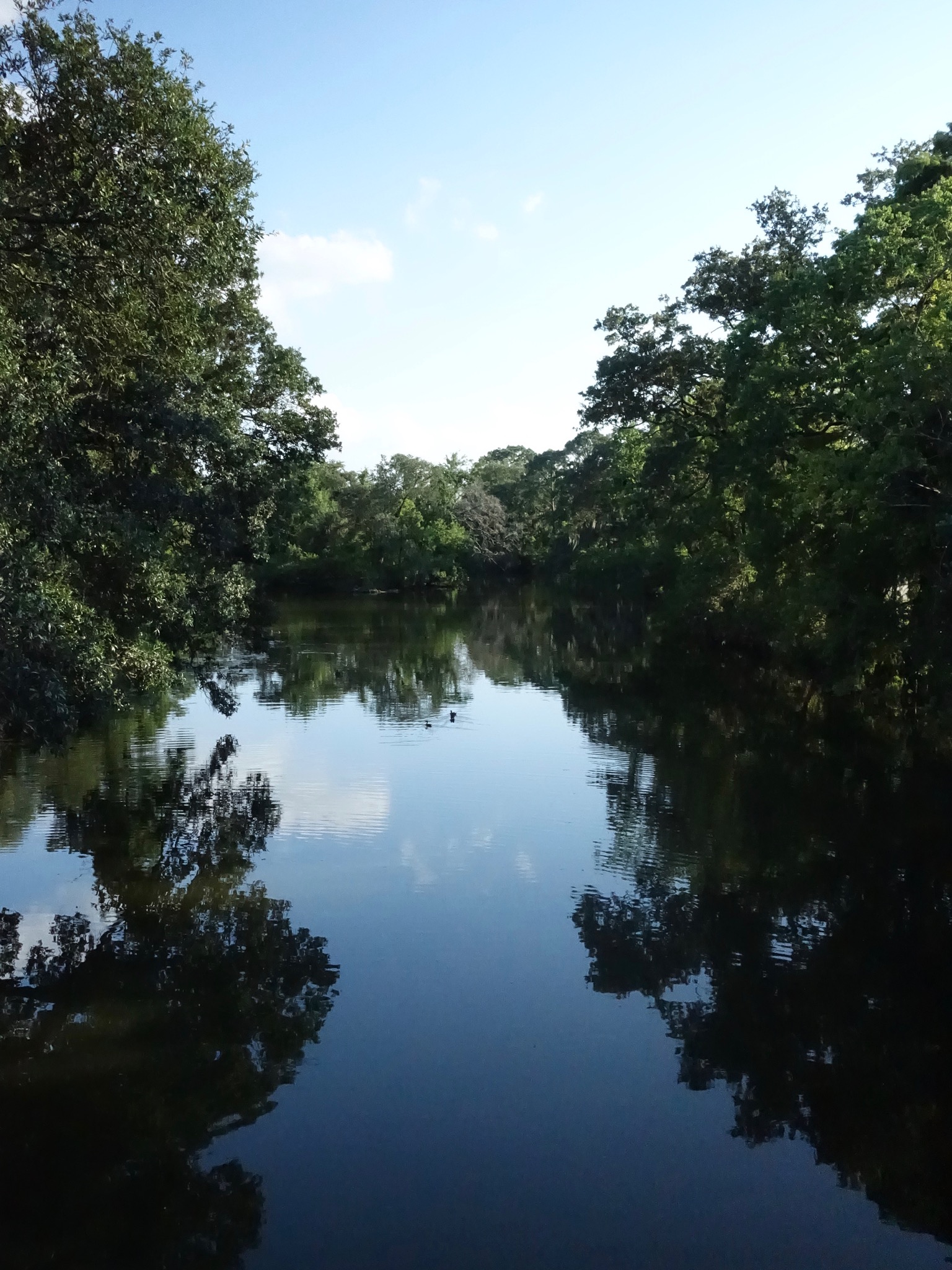 Photo 32 of 56 from the album Highlights New Orleans 2015.