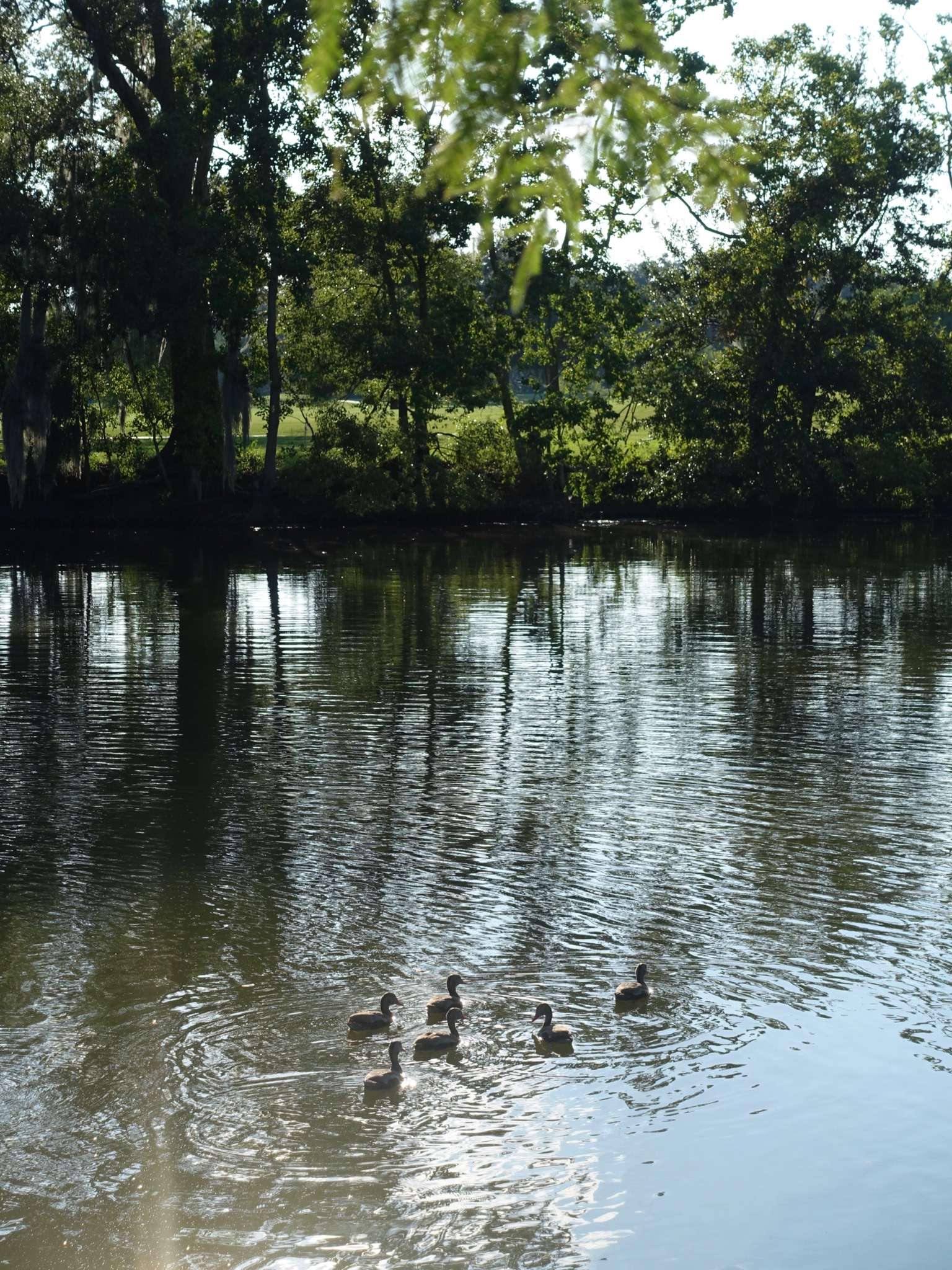 Photo 33 of 56 from the album Highlights New Orleans 2015.