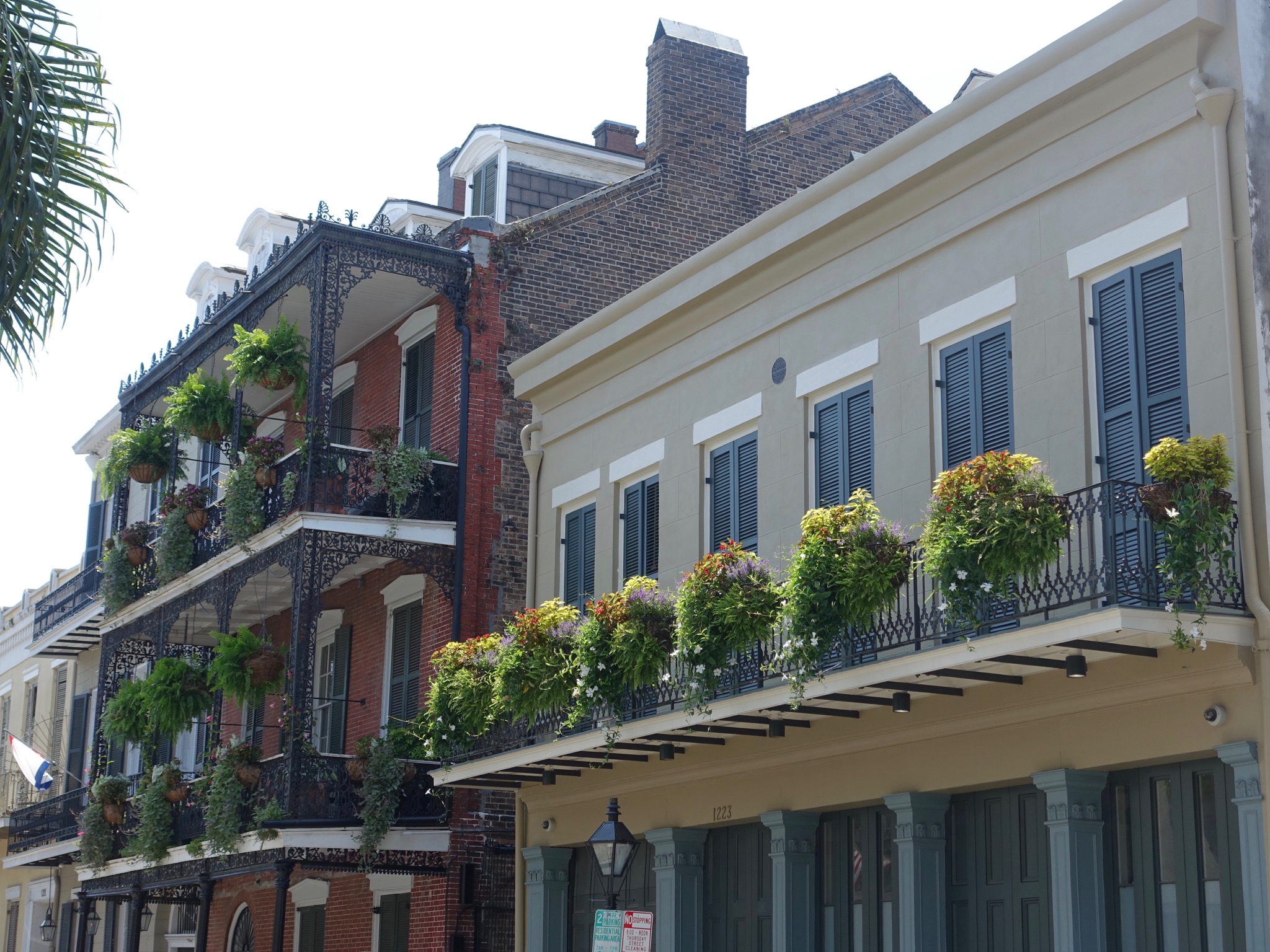 Photo 7 of 56 from the album Highlights New Orleans 2015.