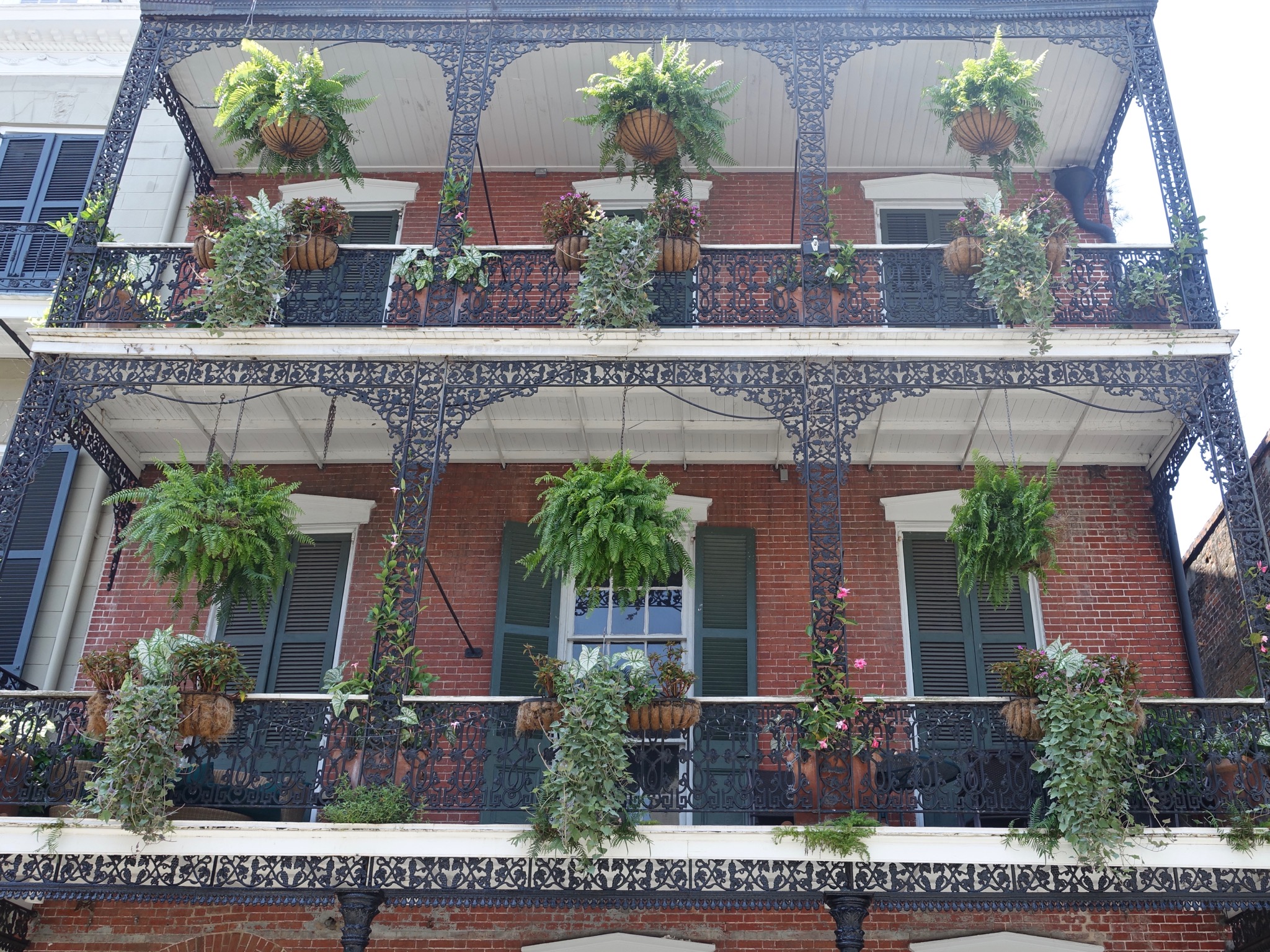 Photo 8 of 56 from the album Highlights New Orleans 2015.