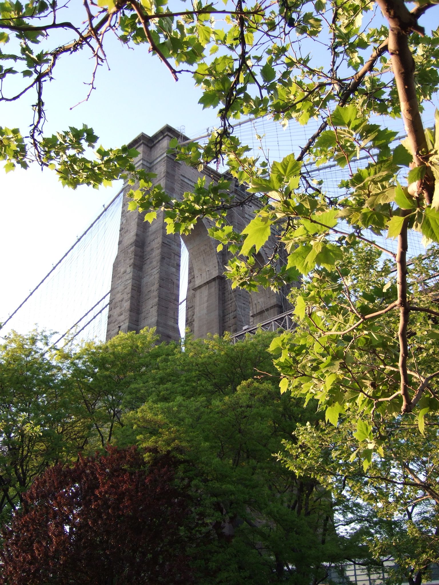 Photo 101 of 116 from the album Highlights New York 2006–2007.