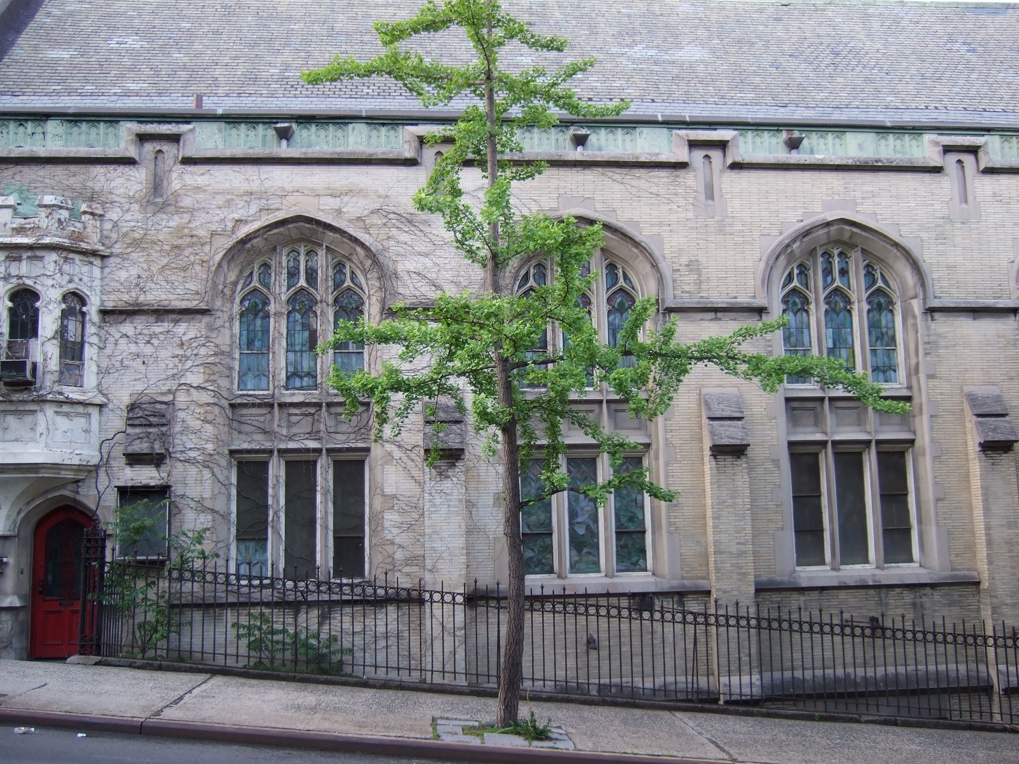 Photo 110 of 116 from the album Highlights New York 2006–2007.