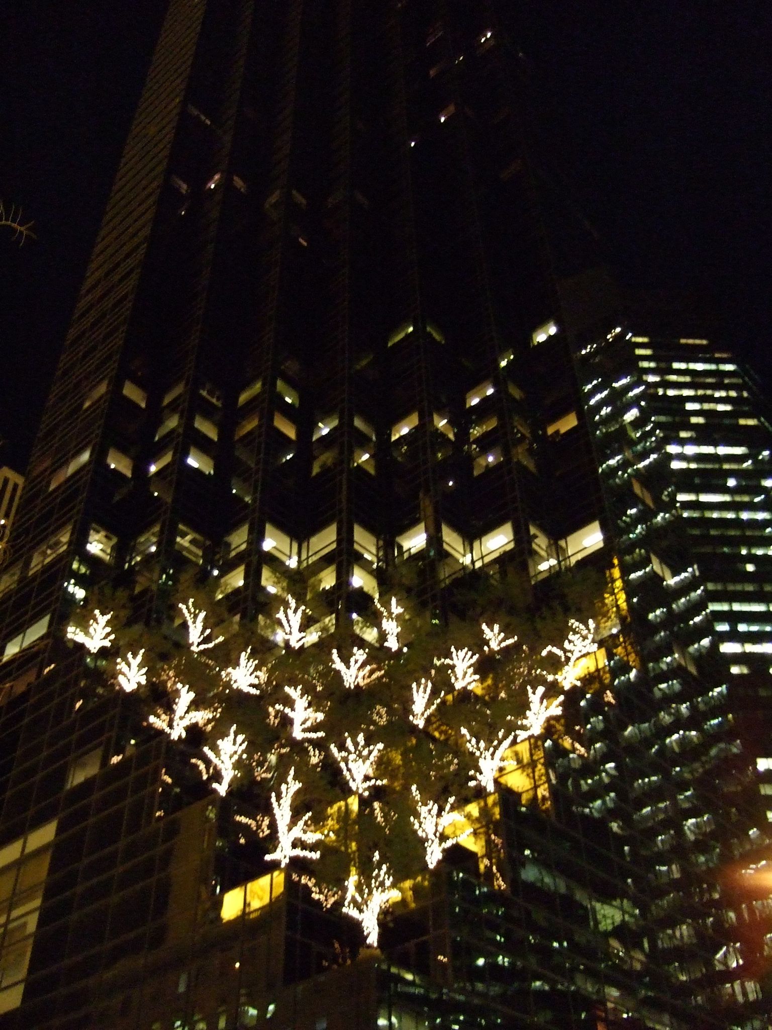 Photo 45 of 116 from the album Highlights New York 2006–2007.