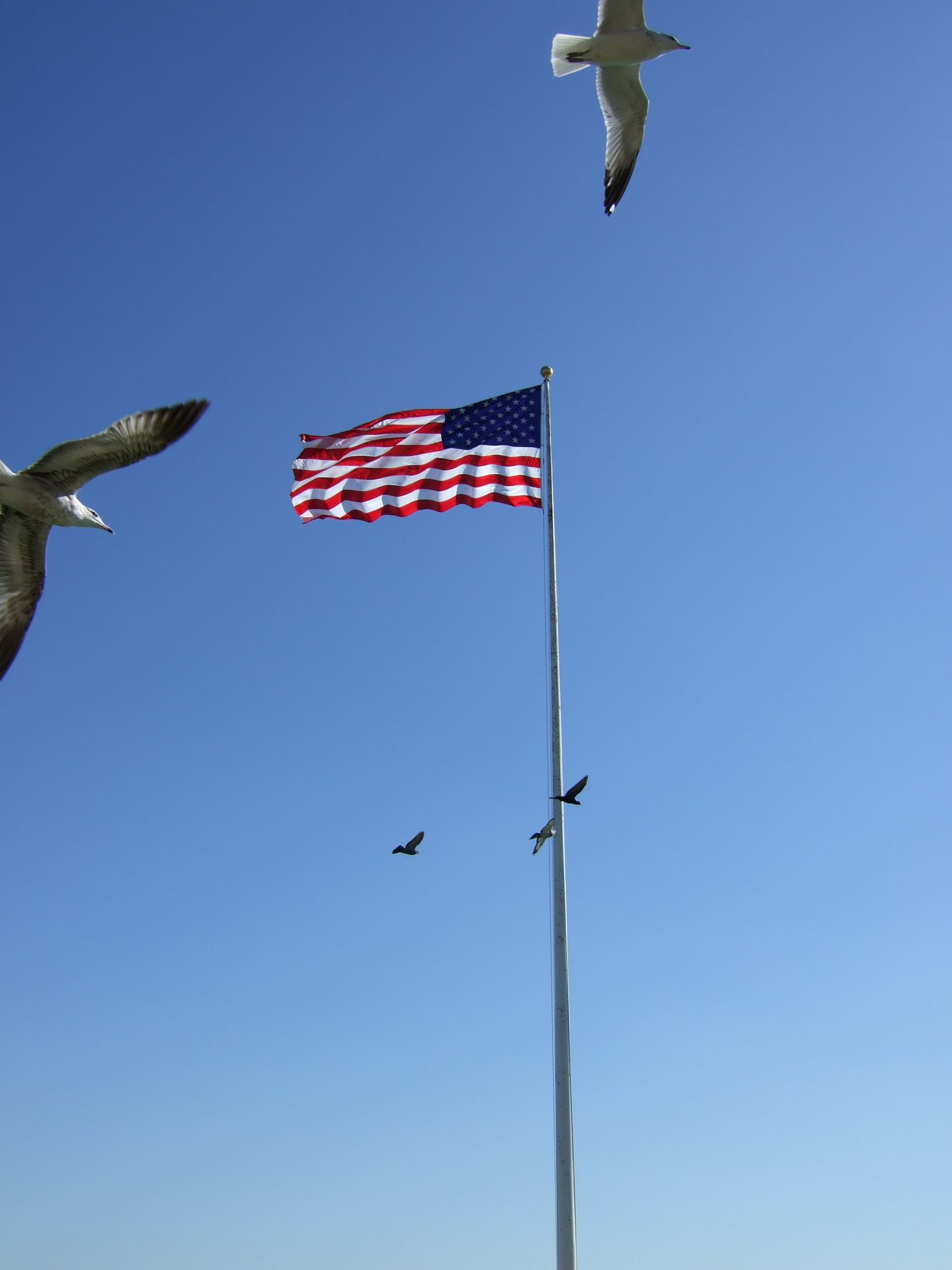 Photo 62 of 116 from the album Highlights New York 2006–2007.