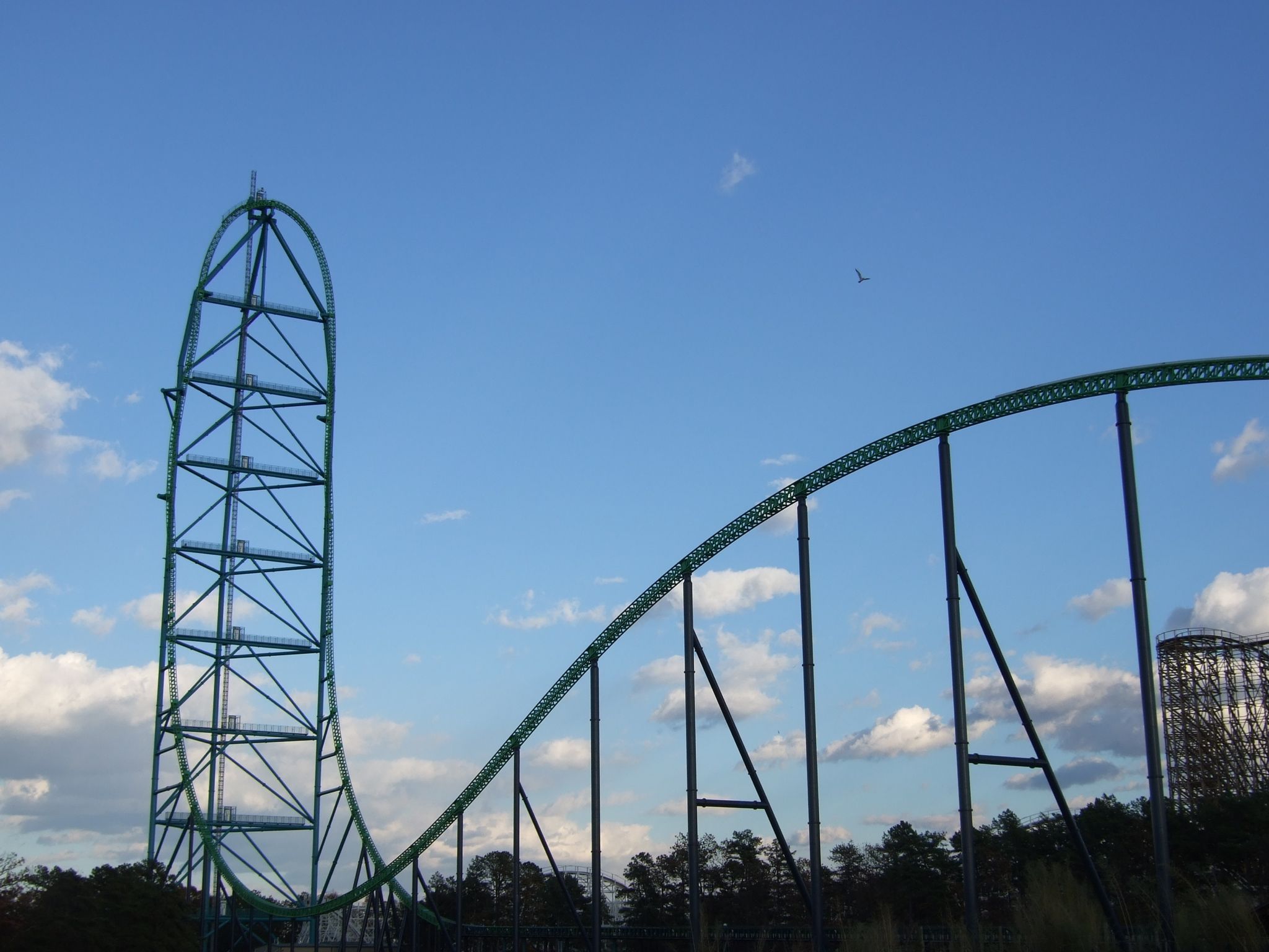 Photo 79 of 116 from the album Highlights New York 2006–2007.