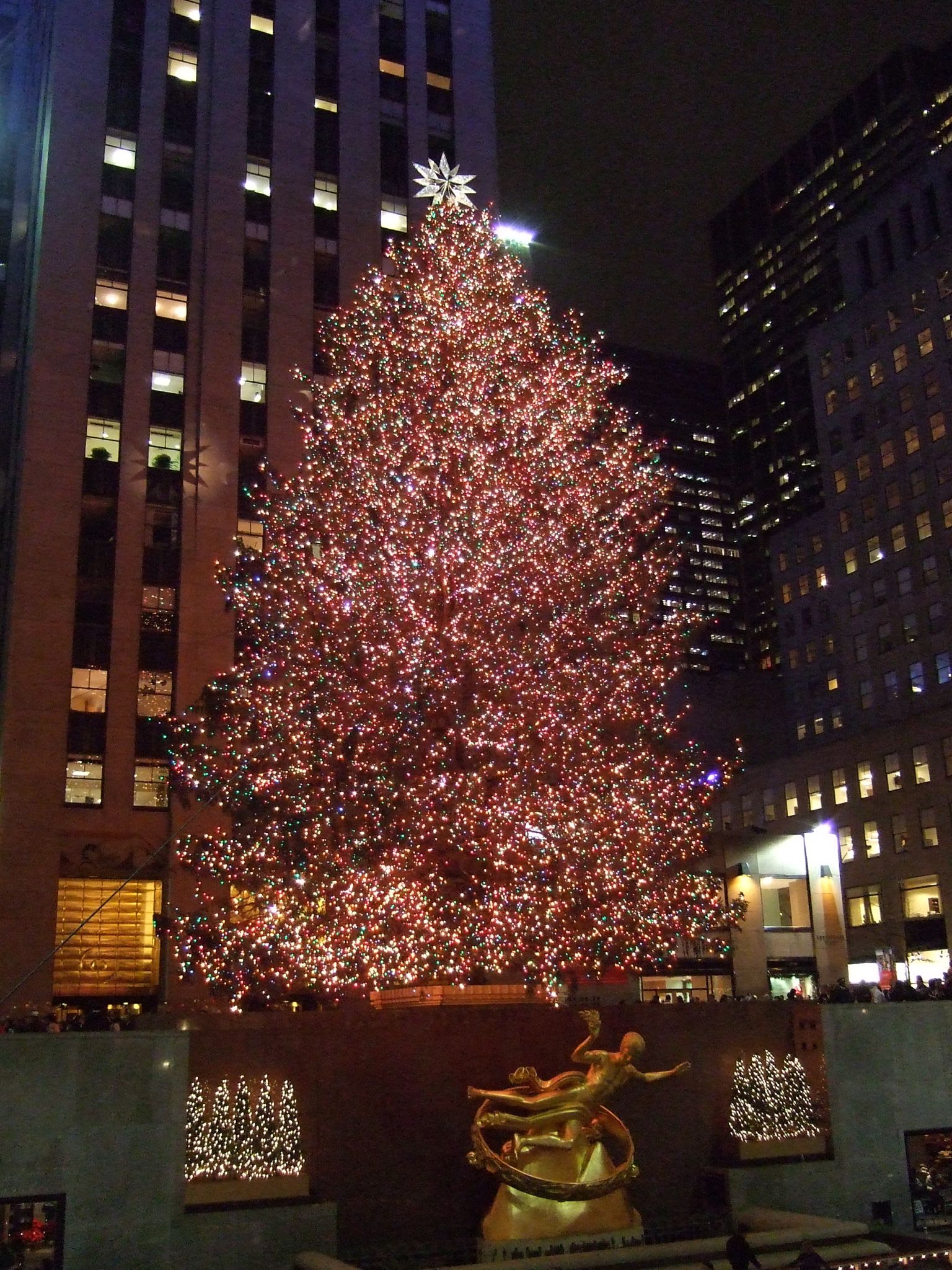 Photo 82 of 116 from the album Highlights New York 2006–2007.