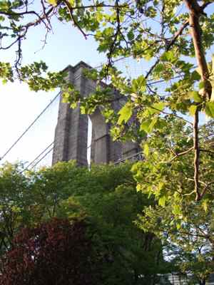 Thumbnail 101 of 116.