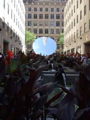 Thumbnail 18 of 116.