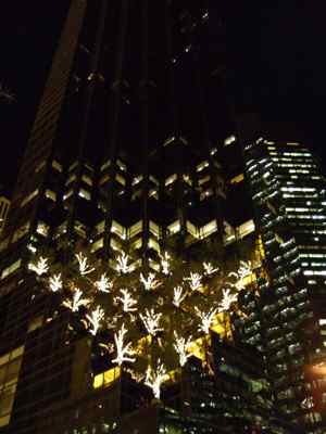 Thumbnail 45 of 116.