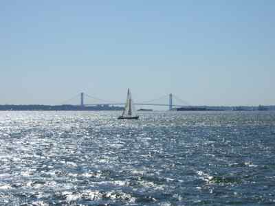 Thumbnail 50 of 116.