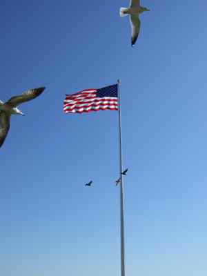 Thumbnail 62 of 116.