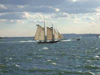 Thumbnail 68 of 116.