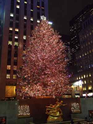 Thumbnail 82 of 116.