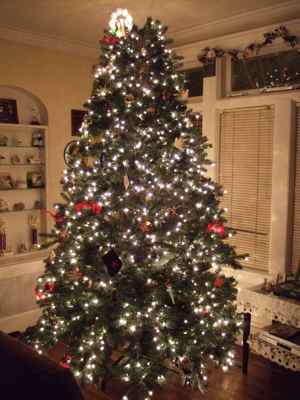 Thumbnail 86 of 116.