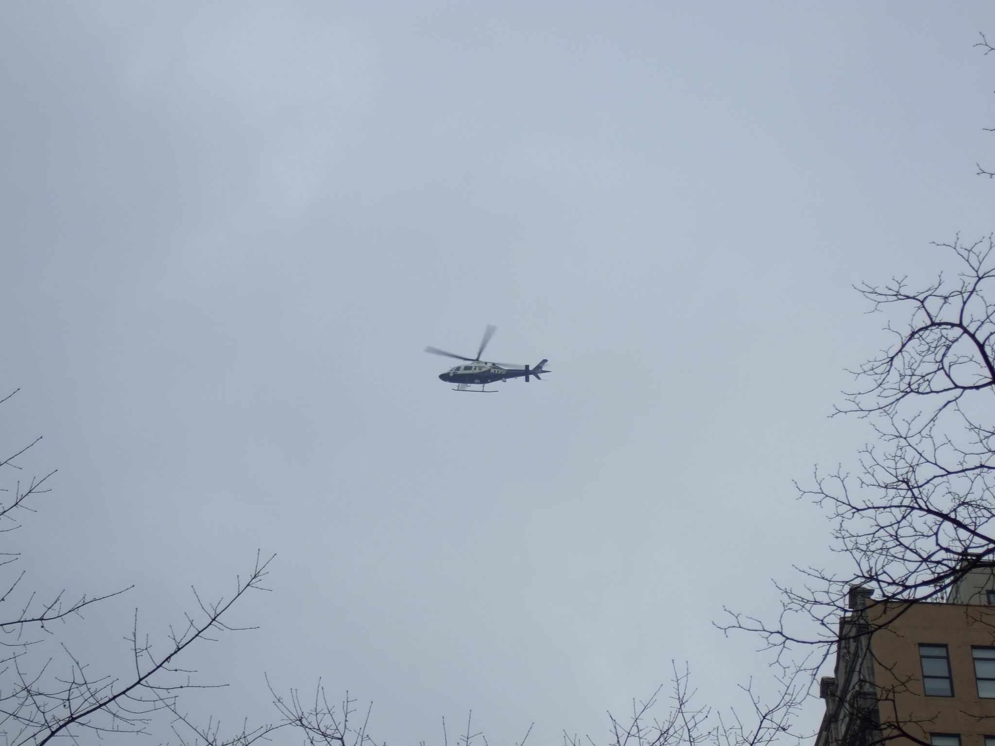 Photo 28 of 68 from the album Highlights New York 2008.