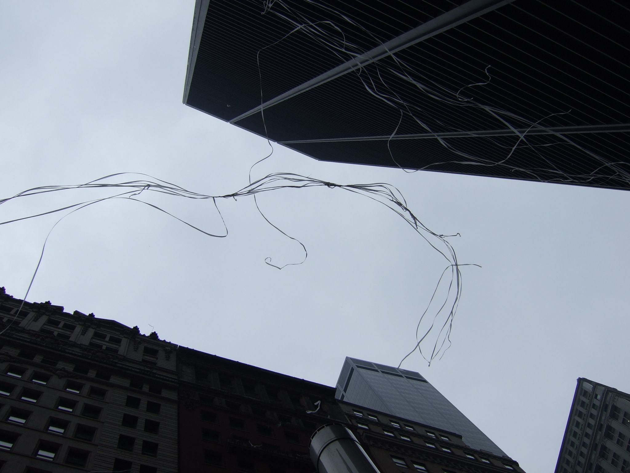 Photo 40 of 68 from the album Highlights New York 2008.