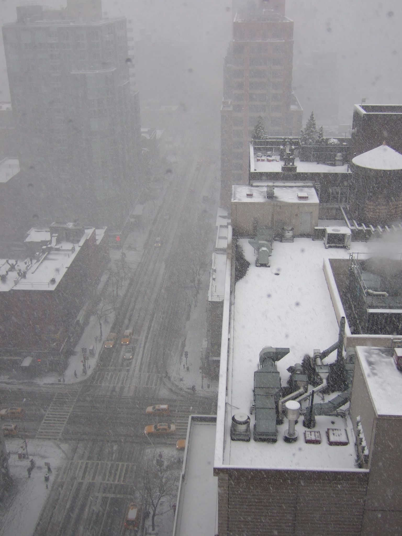 Photo 35 of 72 from the album Highlights New York 2010.