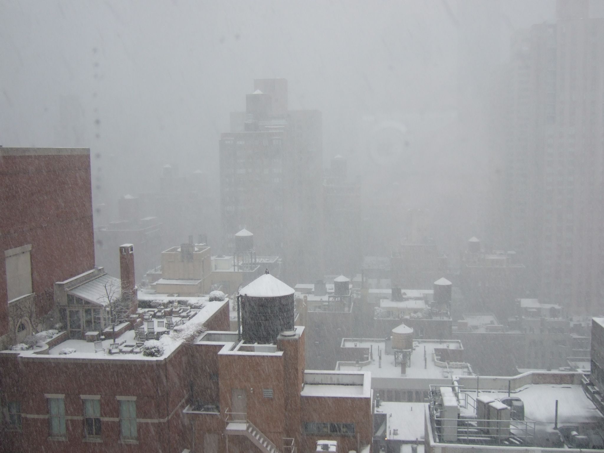 Photo 36 of 72 from the album Highlights New York 2010.