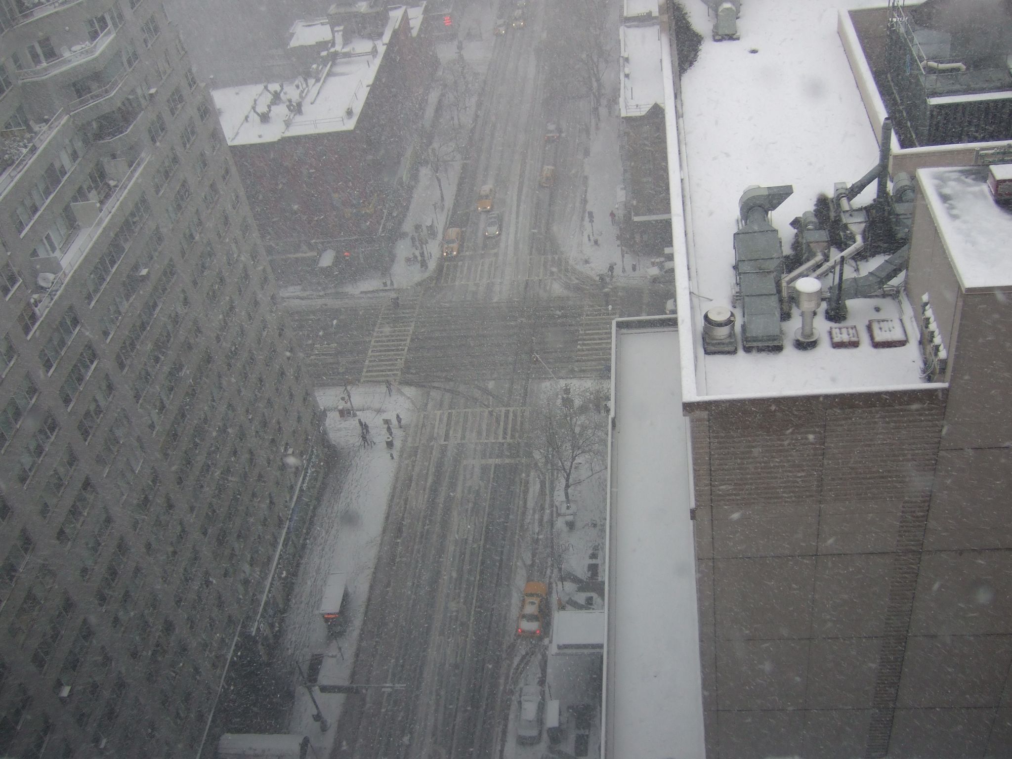 Photo 37 of 72 from the album Highlights New York 2010.