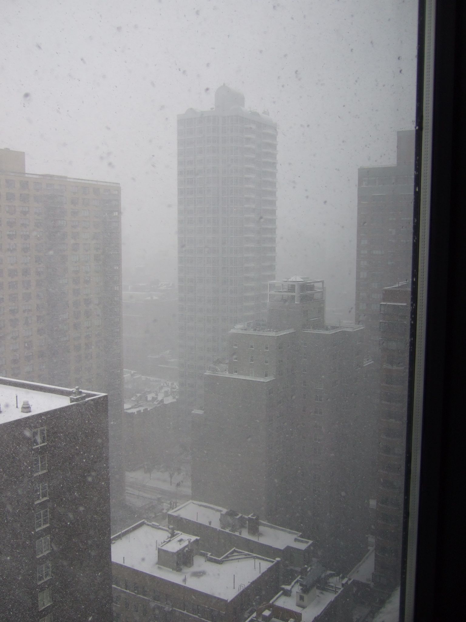 Photo 38 of 72 from the album Highlights New York 2010.