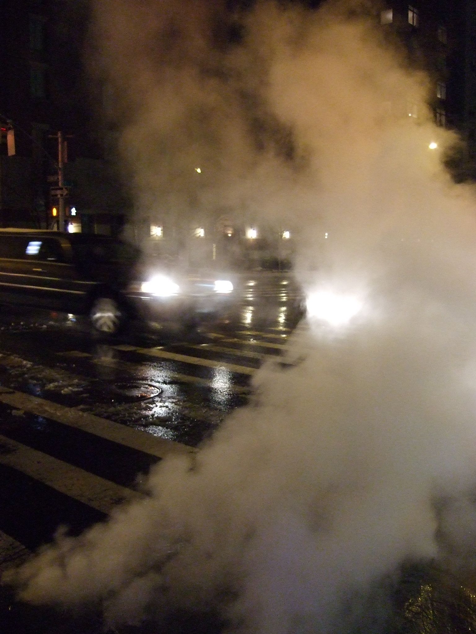 Photo 44 of 72 from the album Highlights New York 2010.