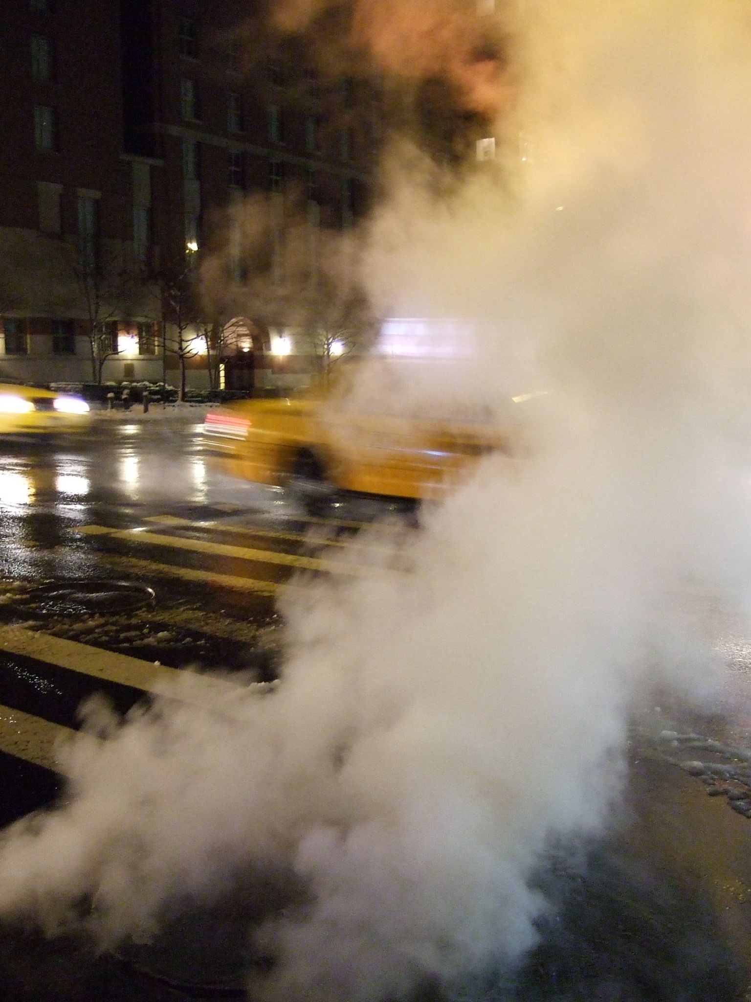 Photo 45 of 72 from the album Highlights New York 2010.