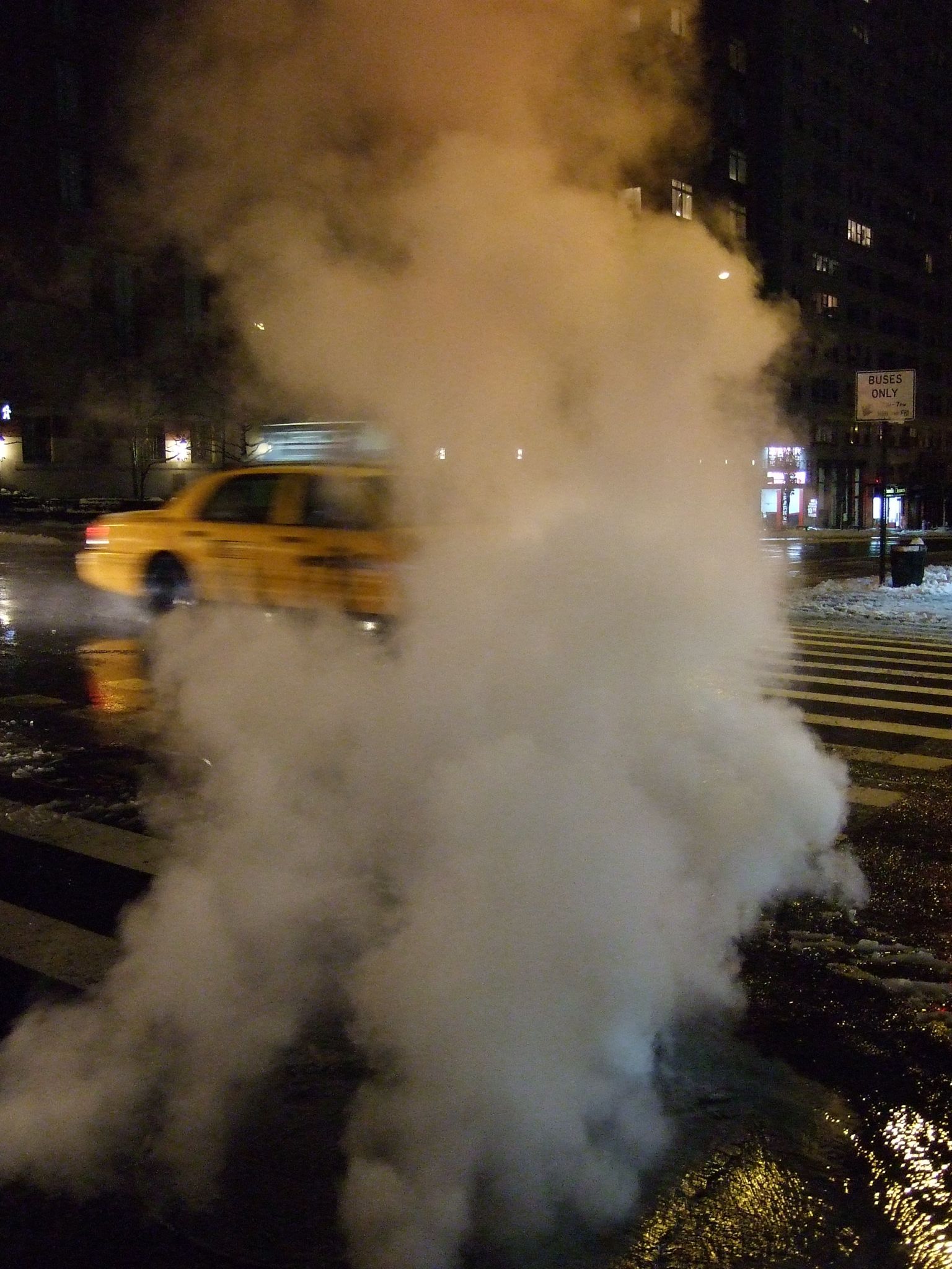 Photo 46 of 72 from the album Highlights New York 2010.