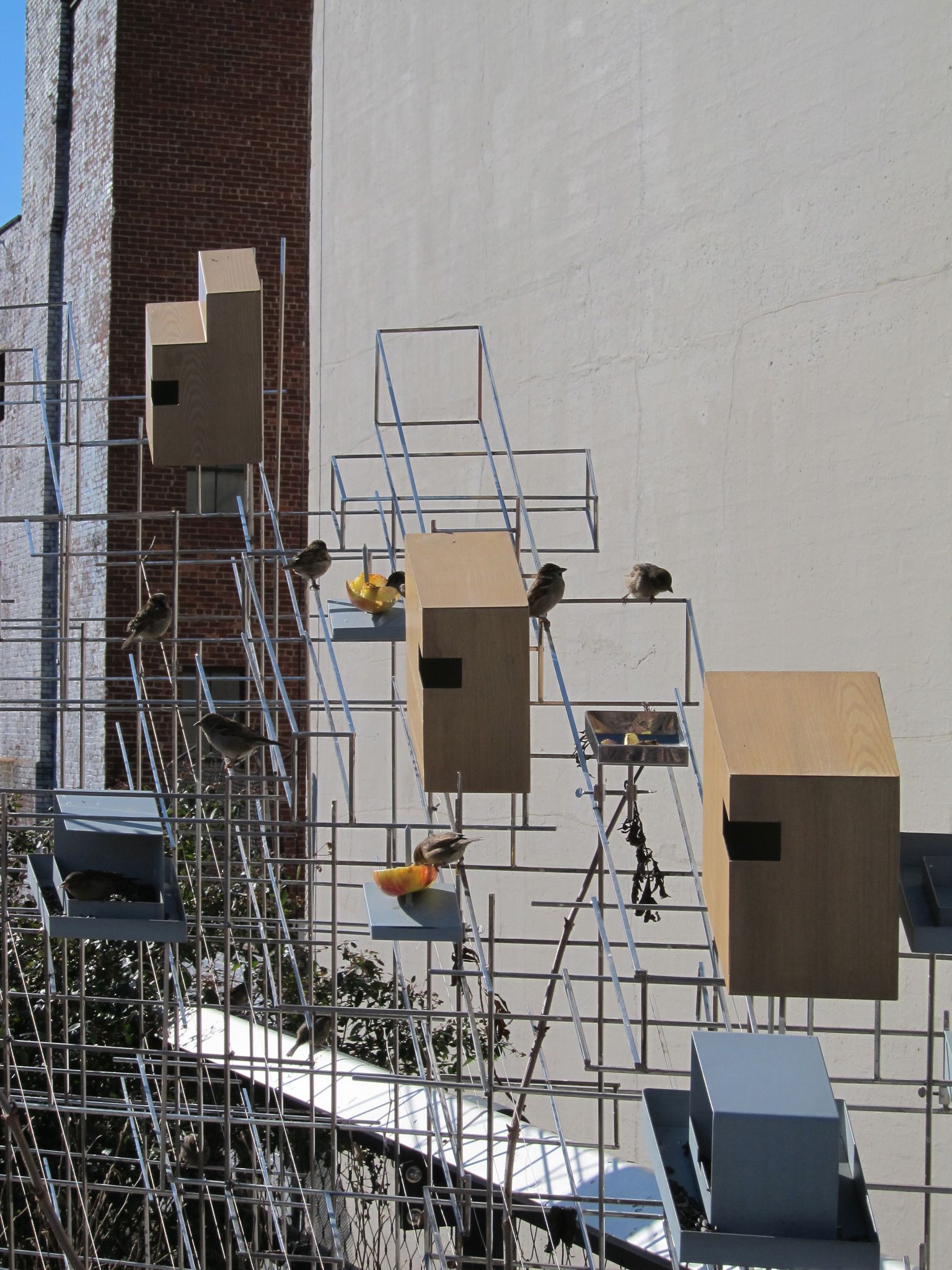 Photo 17 of 87 from the album Highlights New York 2012.