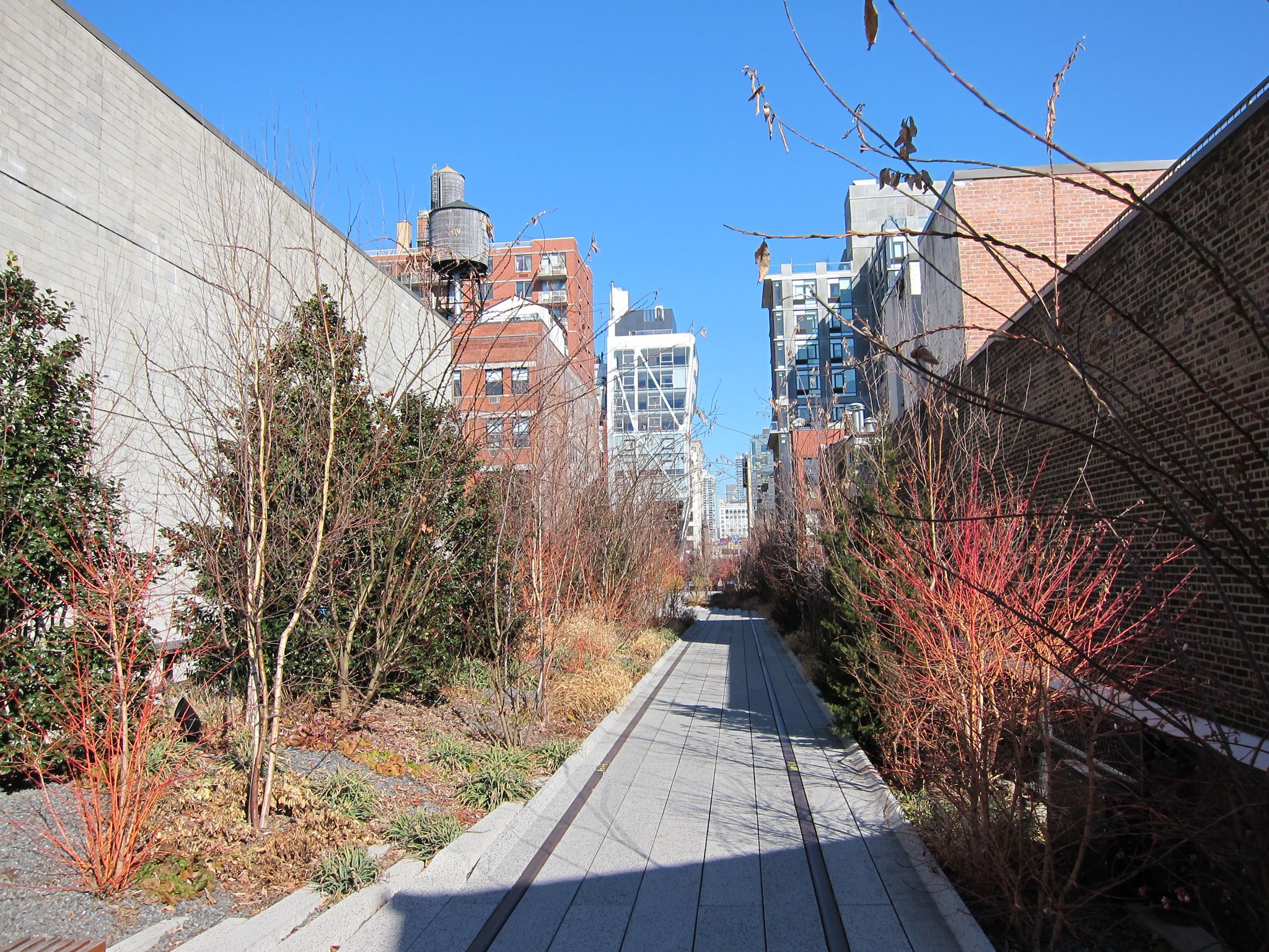 Photo 18 of 87 from the album Highlights New York 2012.