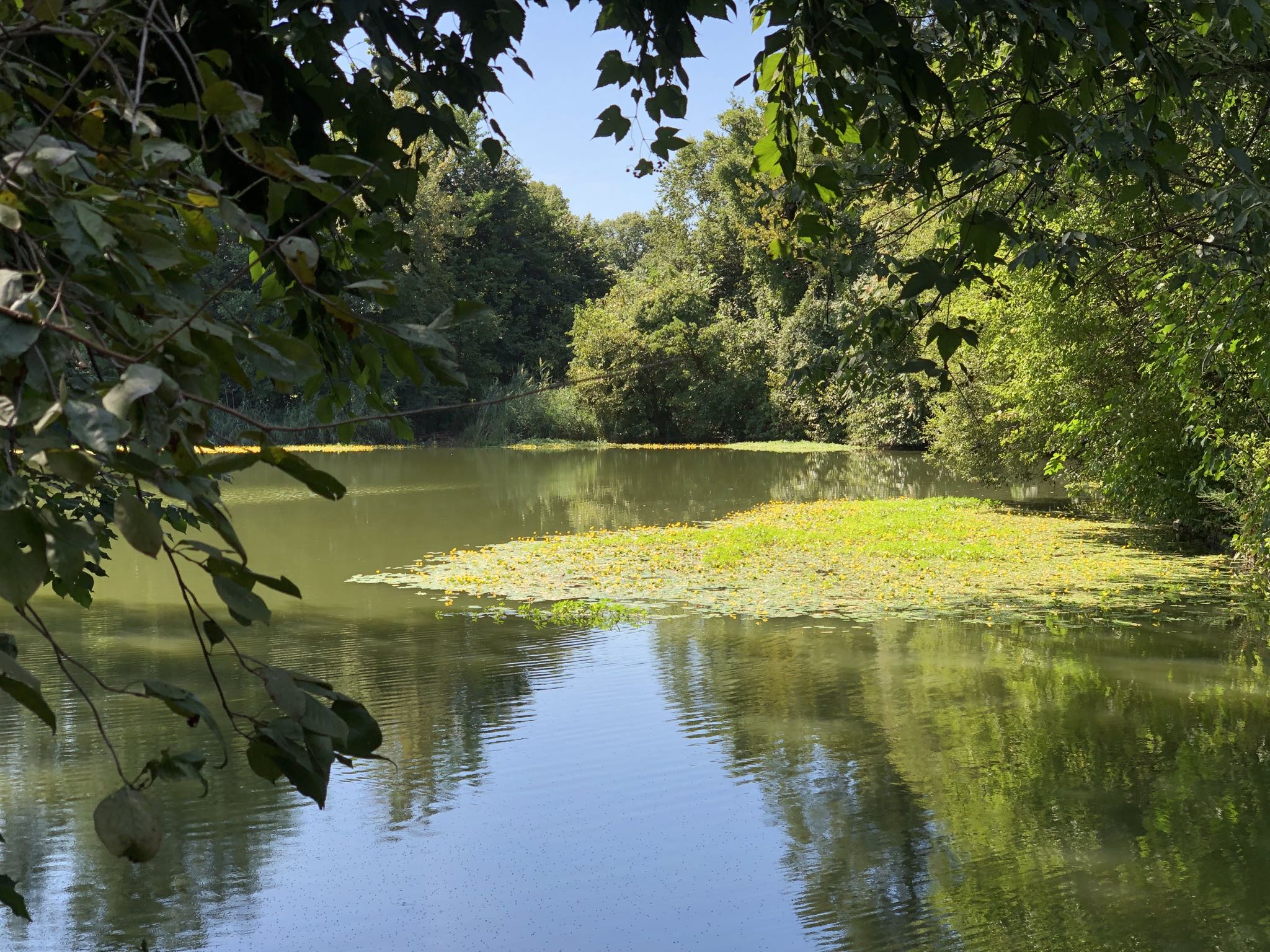 Photo 37 of 93 from the album Highlights New York 2018.