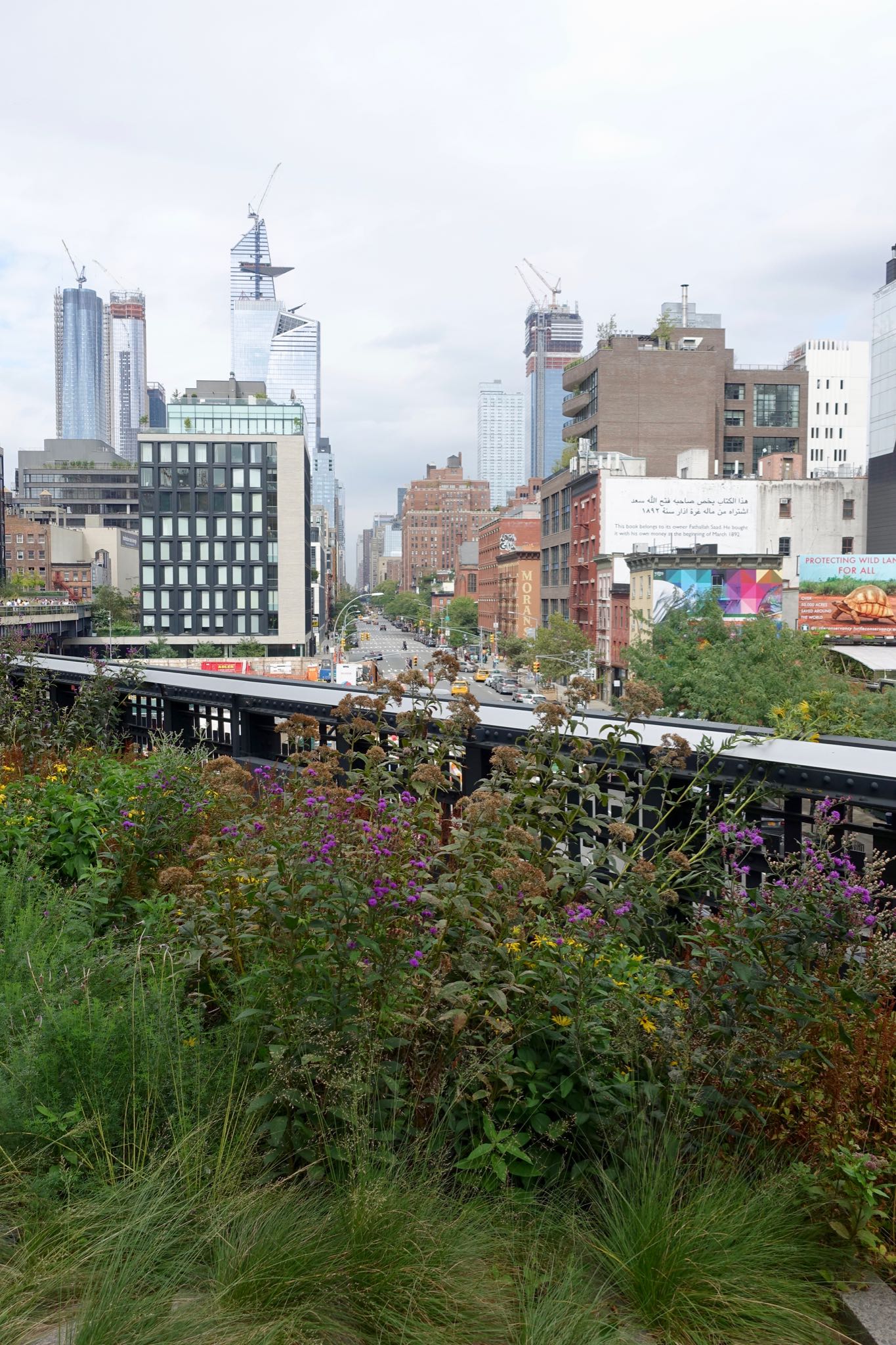 Photo 63 of 93 from the album Highlights New York 2018.