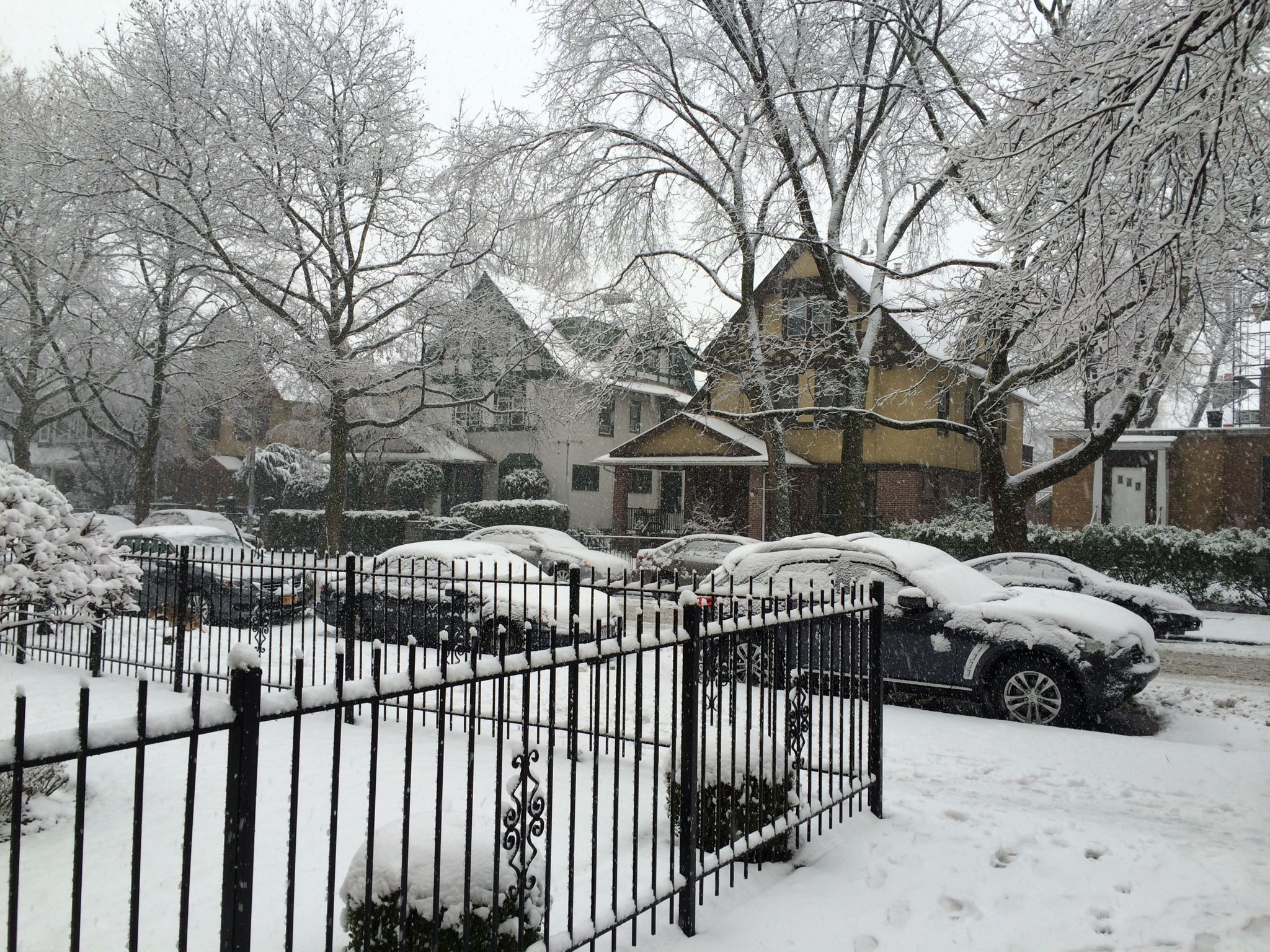 Photo 2 of 44 from the album Highlights New York – New Orleans 2014.