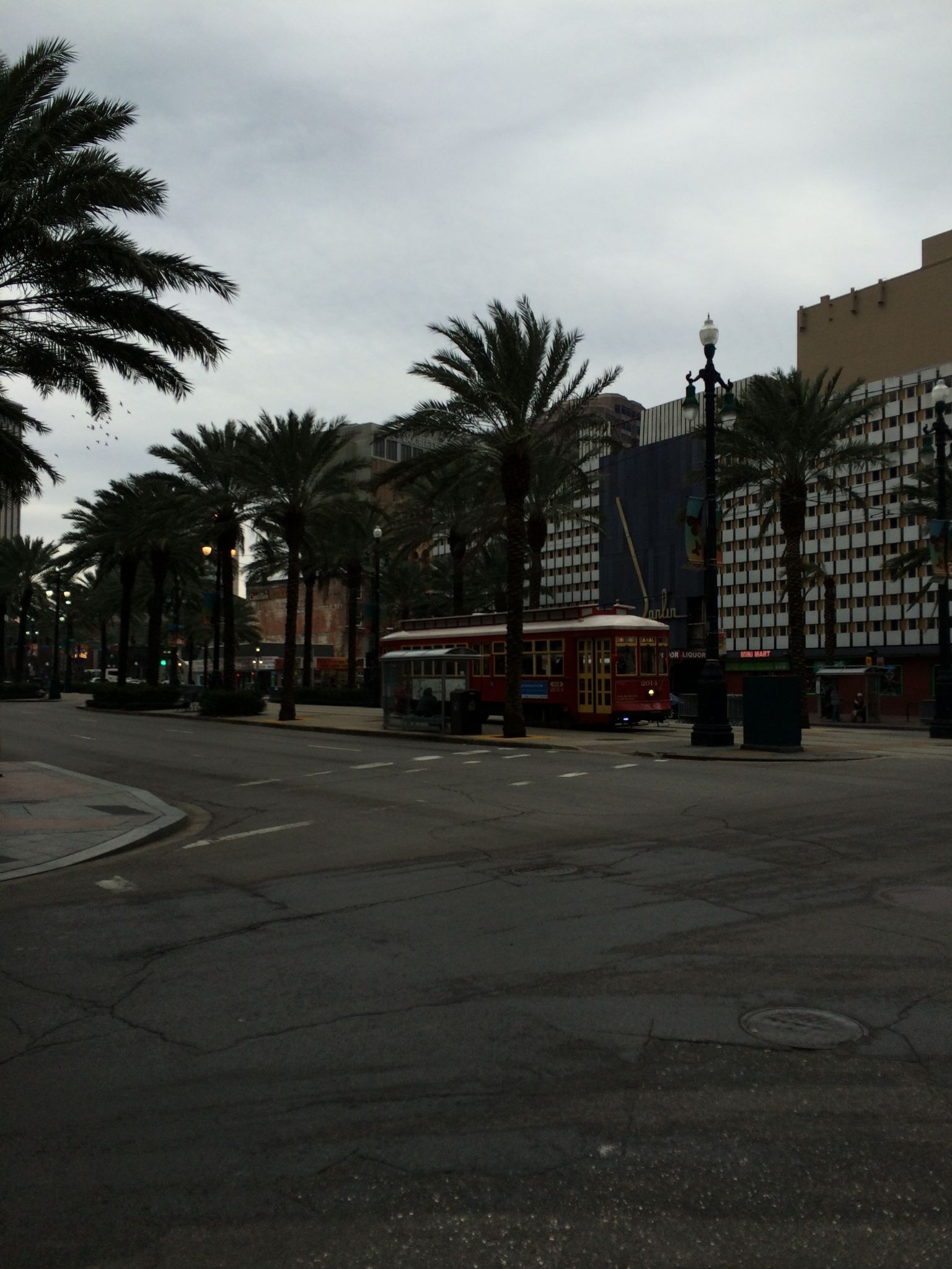 Photo 28 of 44 from the album Highlights New York – New Orleans 2014.