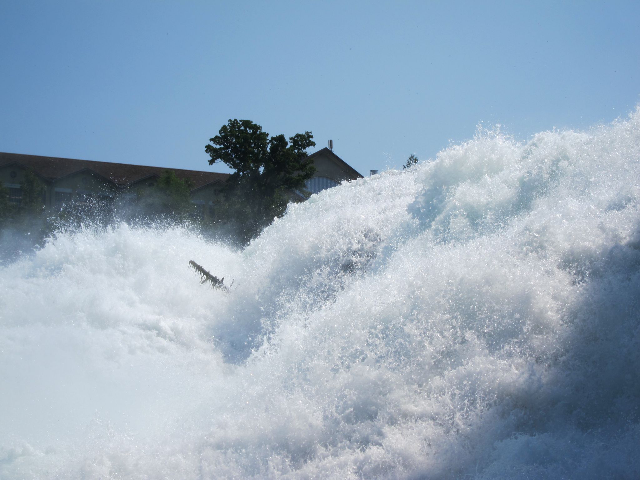 Photo 8 of 22 from the album Rheinfall.