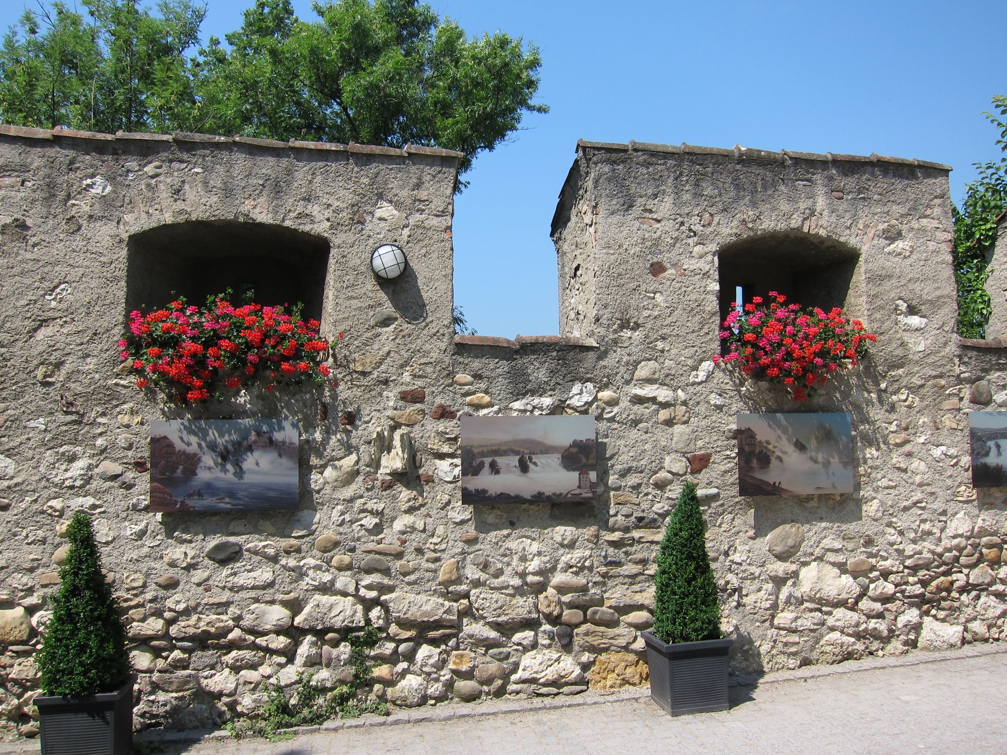 Photo 9 of 22 from the album Rheinfall.