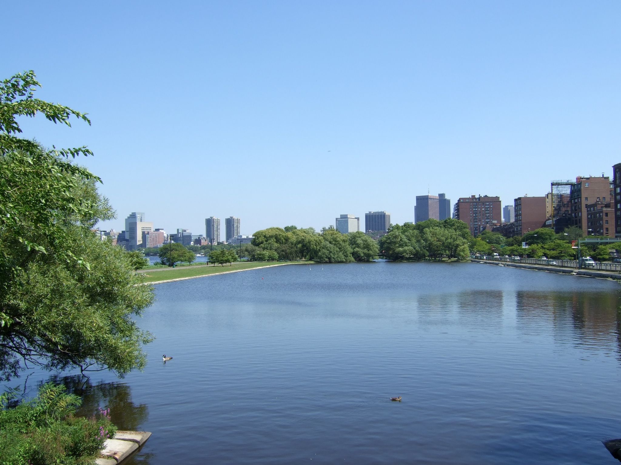 Photo 151 of 171 from the album Highlights Road Trip USA 2008.