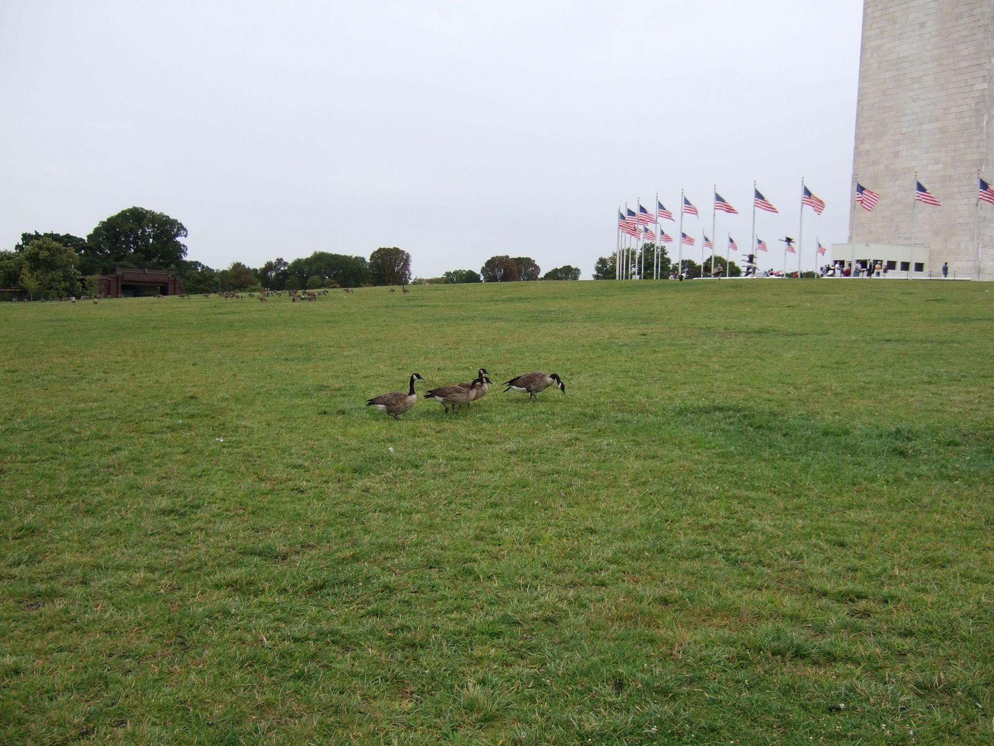 Photo 22 of 171 from the album Highlights Road Trip USA 2008.