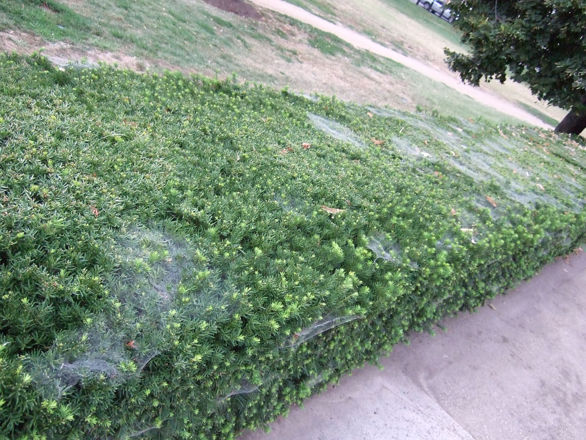 Photo 25 of 171 from the album Highlights Road Trip USA 2008.