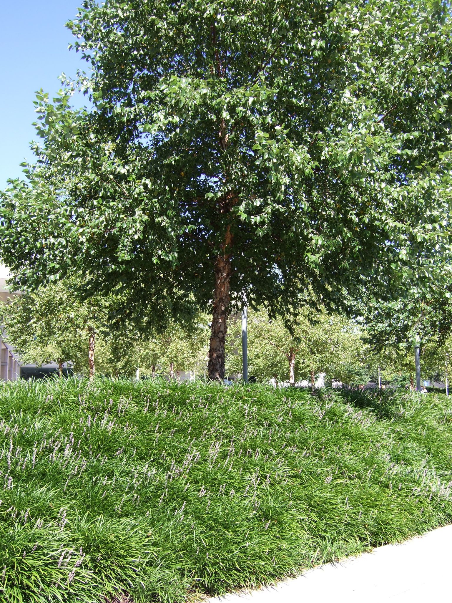 Photo 81 of 171 from the album Highlights Road Trip USA 2008.