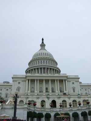 Thumbnail 11 of 171.