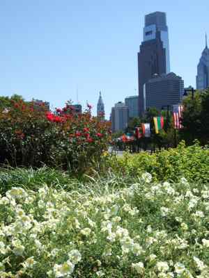 Thumbnail 111 of 171.