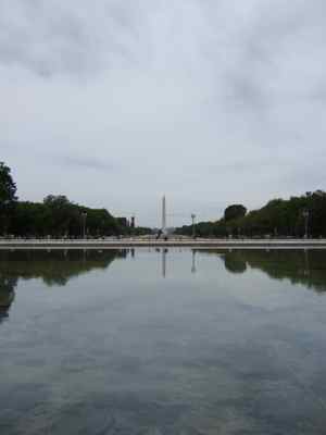 Thumbnail 14 of 171.