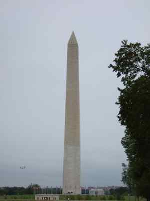 Thumbnail 20 of 171.