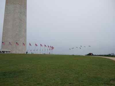 Thumbnail 21 of 171.