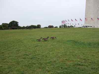 Thumbnail 22 of 171.